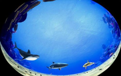 宣傳片文案制作 宣傳片包裝 拍攝 成都宣傳片制作